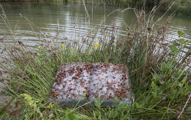 GeleenbeekpondBookphotobyBertJanssen